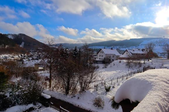 Haus Kieferneck Ξενοδοχείο Willingen  Εξωτερικό φωτογραφία